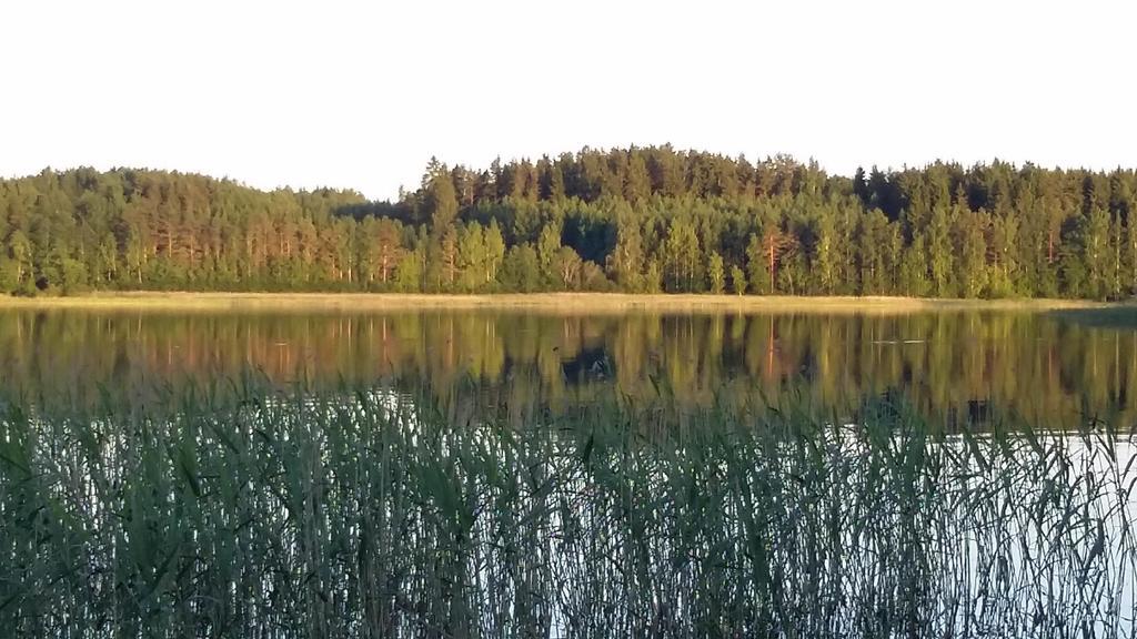 Lakehouse Saimaa B&B Taipalsaari Buitenkant foto